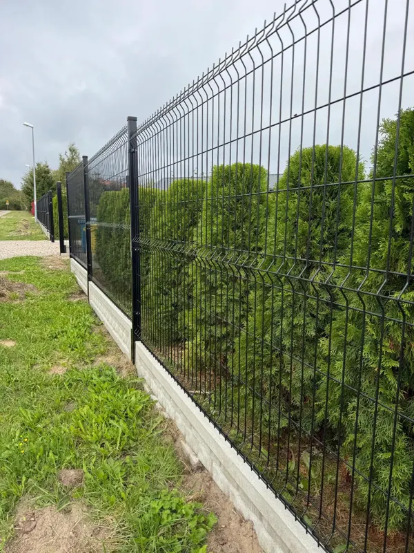 Ogrodzenie panelowe 3D na betonowej podmurówce wzdłuż żywopłotu z tui